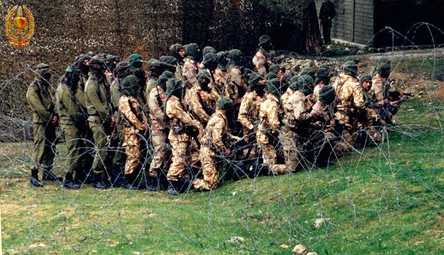 Maniobras y Guerrillas075.jpg